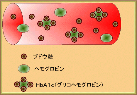 hba1c