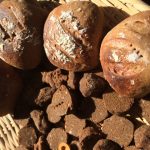 小麦粉パンを糖質制限パンに変えるメリットはどのくらい？